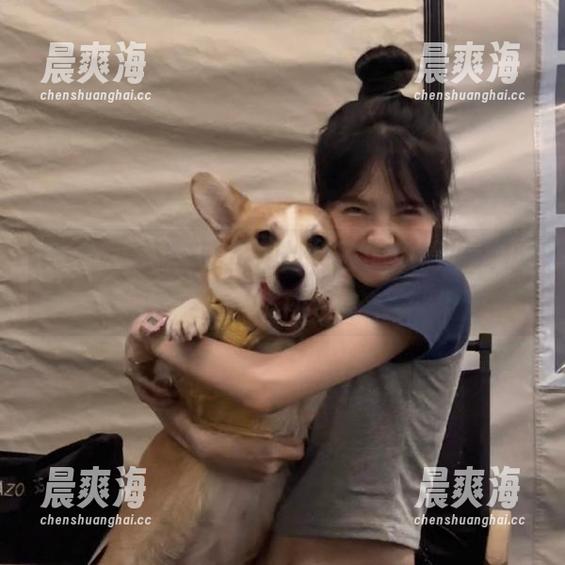 51吃瓜网址，你的瓜情报终极指南
