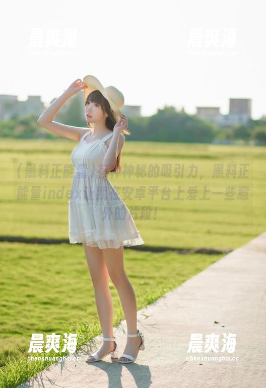 有种神秘的吸引力，黑料正能量index让我在安卓平台上爱上一些意外的片段！
